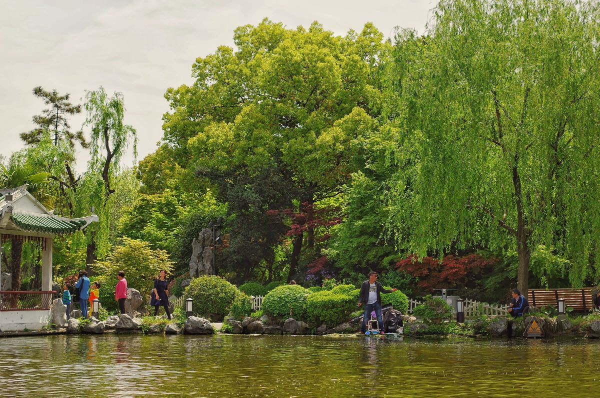 【攜程攻略】上海長風公園景點,長風公園景 植物 遊玩 表演集一身 很