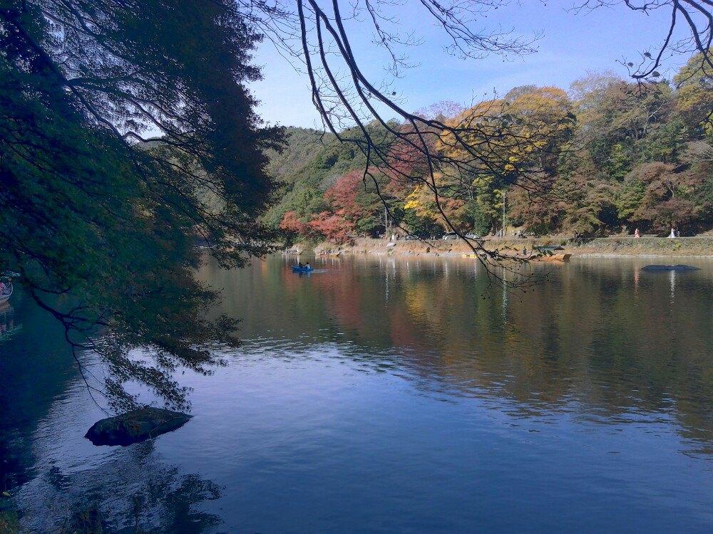 【携程攻略】岚山景点,景色非常优美,夏季绿水青山,到11月下旬,漫