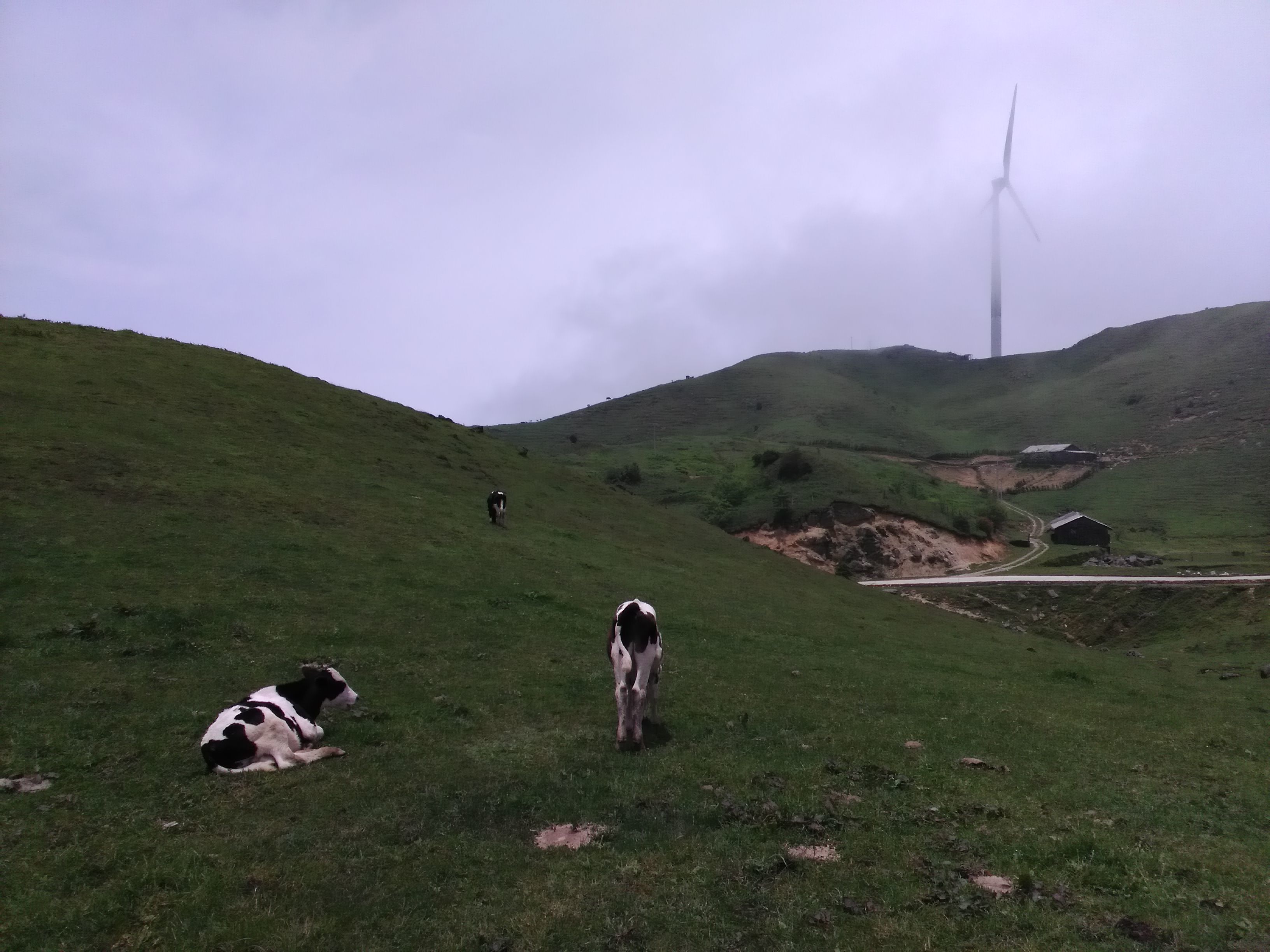 南山牧場旅遊景點攻略圖