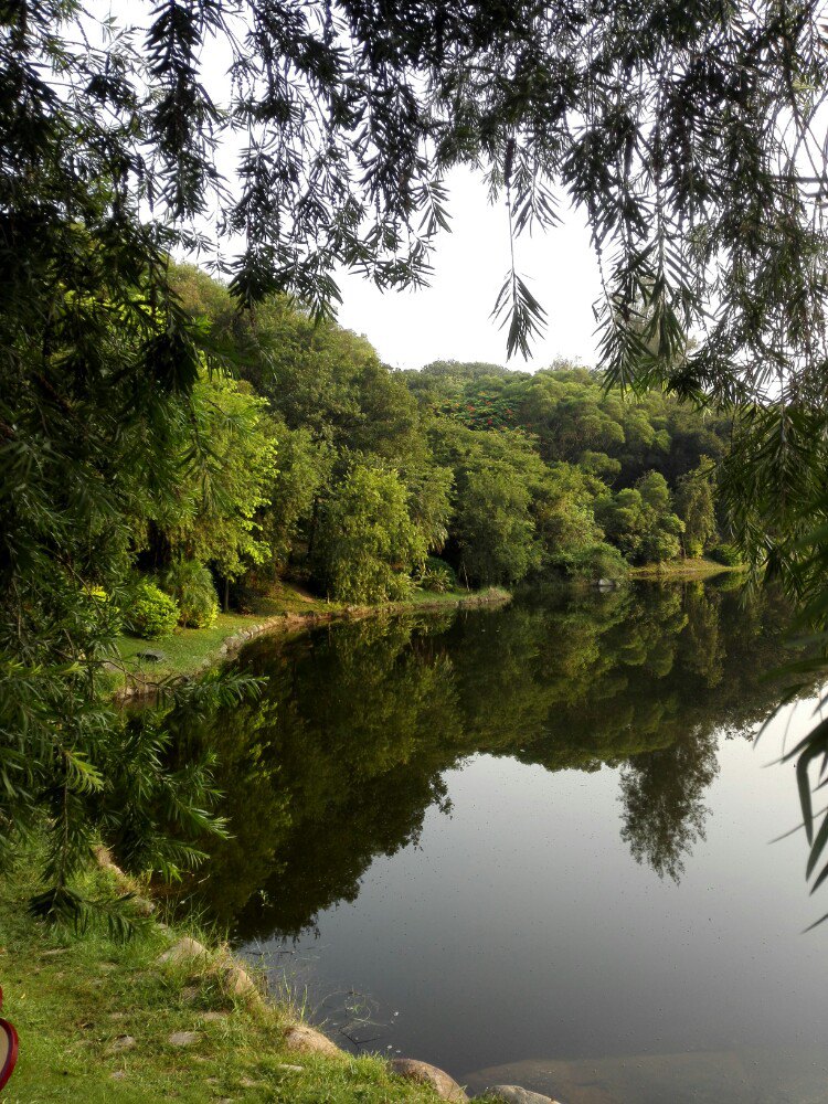 泉州泉州森林公園好玩嗎,泉州泉州森林公園景點怎麼樣_點評_評價