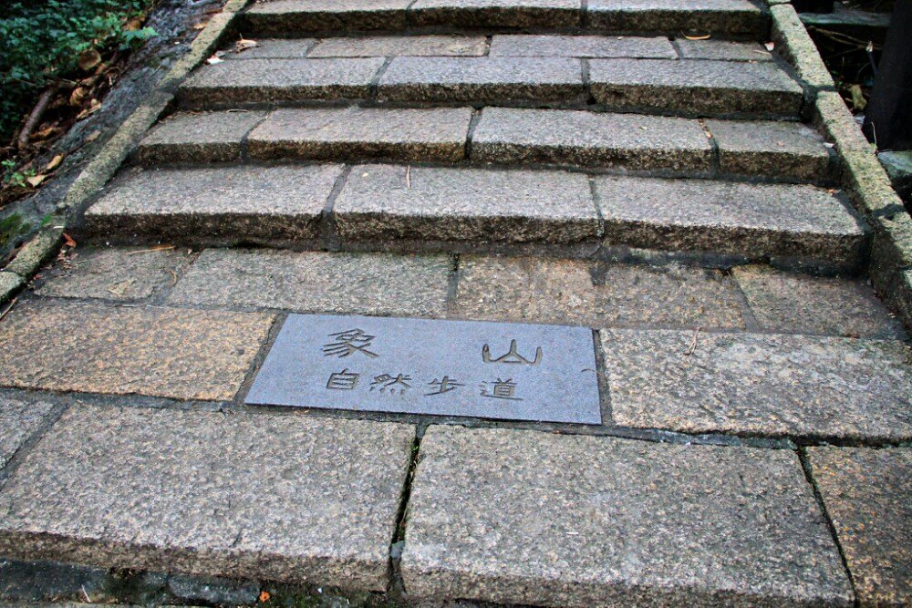 象山是观赏台北101最佳地方,公园规划了很多上山的步道