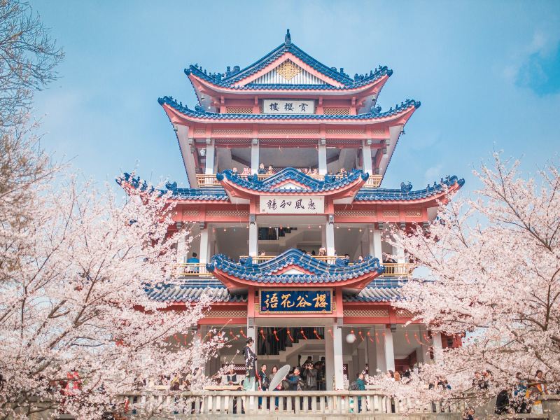 无锡鼋头渚攻略-鼋头渚门票价格多少钱-团购票价预定优惠-景点地址