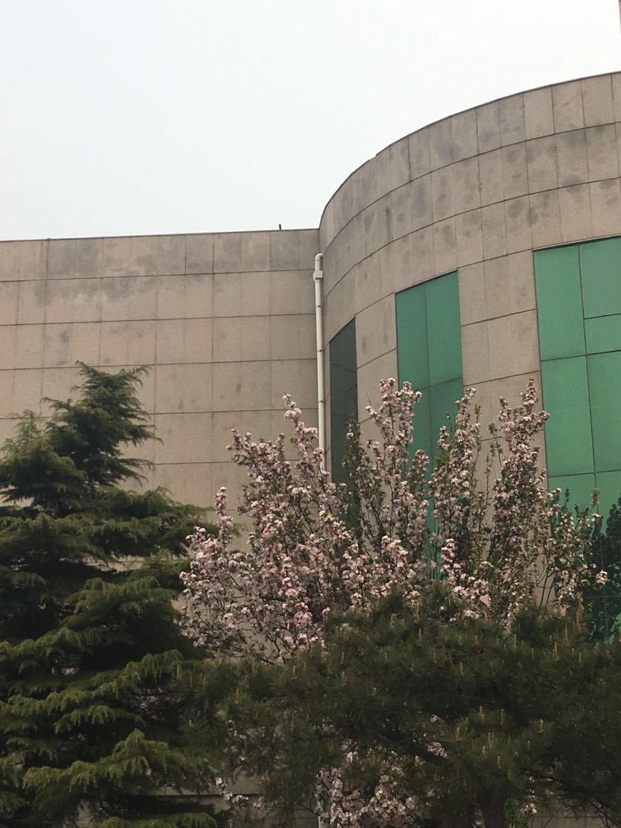 英武山拓展培训基地