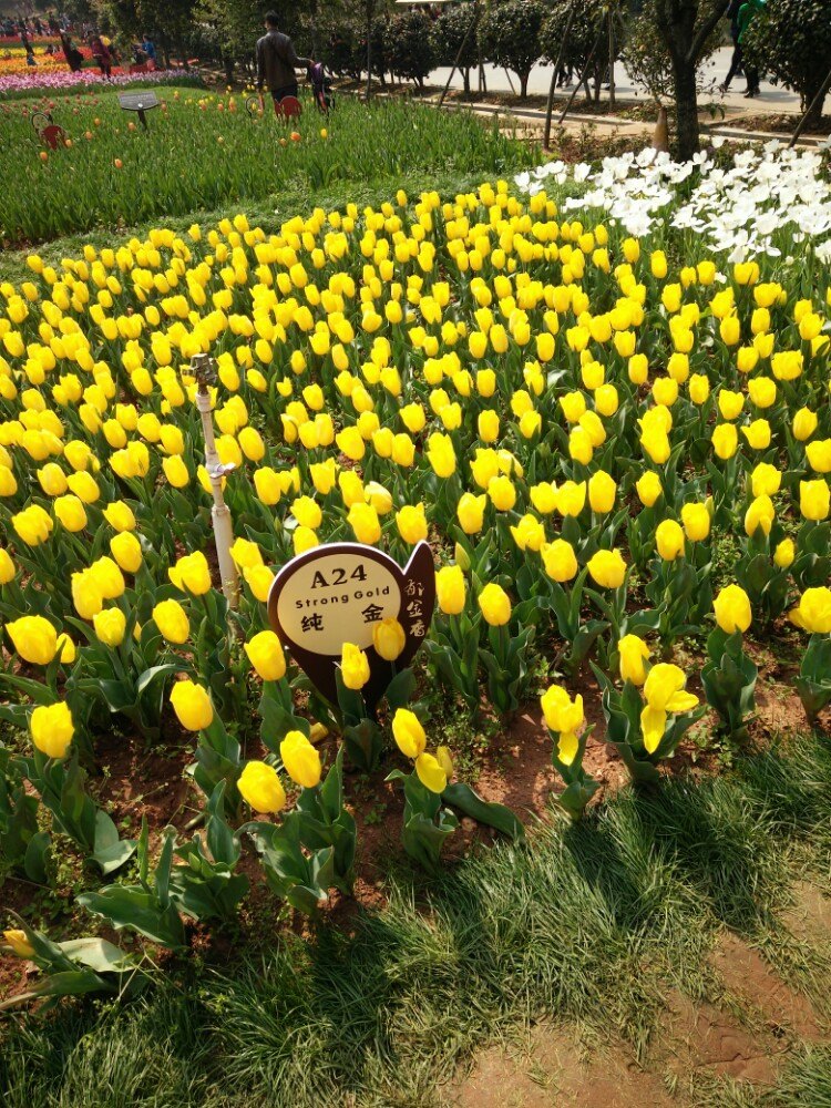 2019湖南省森林植物園_旅遊攻略_門票_地址_遊記點評,長沙旅遊景點