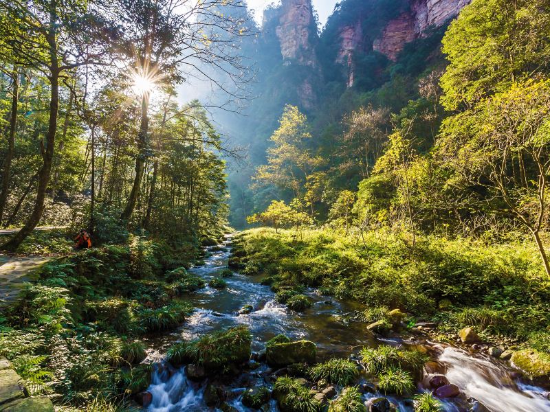 武陵源区金鞭溪大峡谷攻略-金鞭溪大峡谷门票价格多少钱-团购票价预定