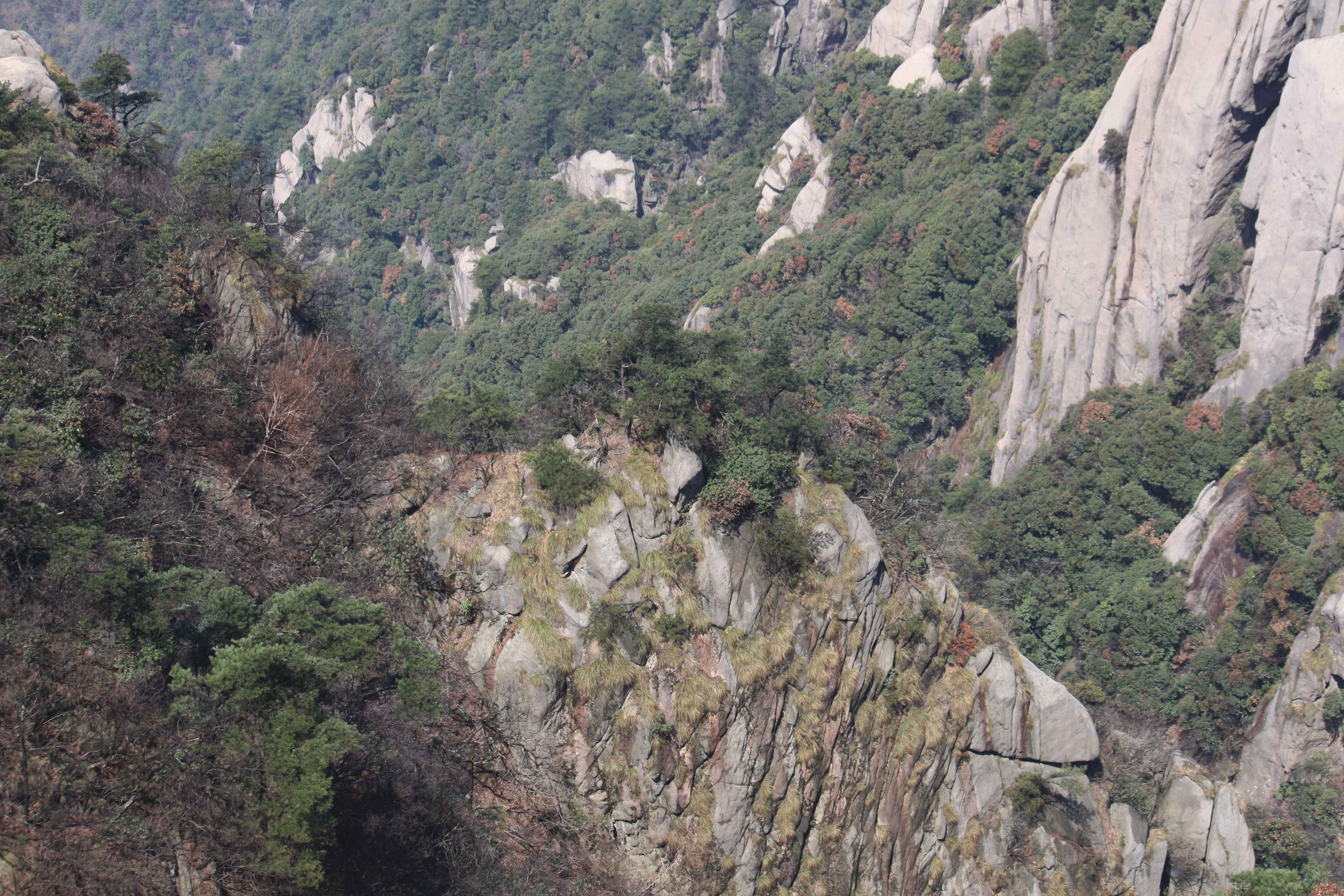 九华山狮子峰图片