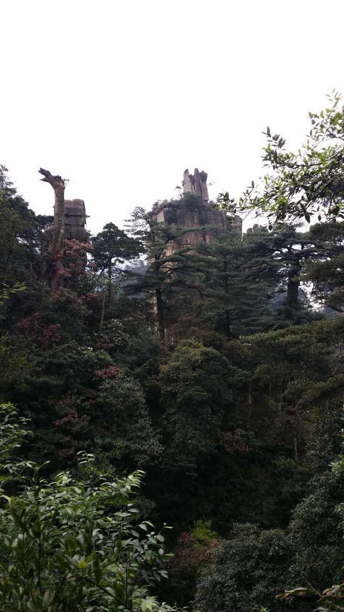 莽山國家森林公園旅遊景點攻略圖