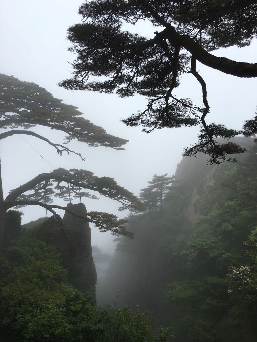 【攜程攻略】黃山風景區迎客松景點,非常好的景色,可以霧氣有點大