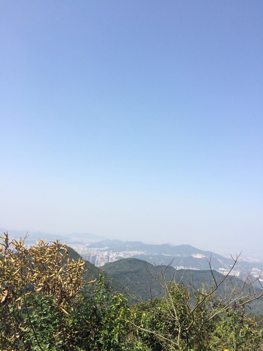 羊台山森林公園景點,山上空氣挺好的,山還是蠻高的,爬到山頂差不多要