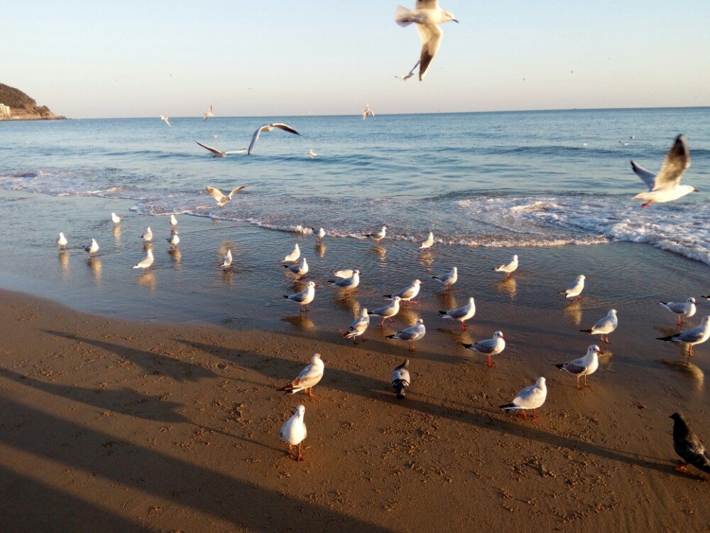 海云台海水浴场