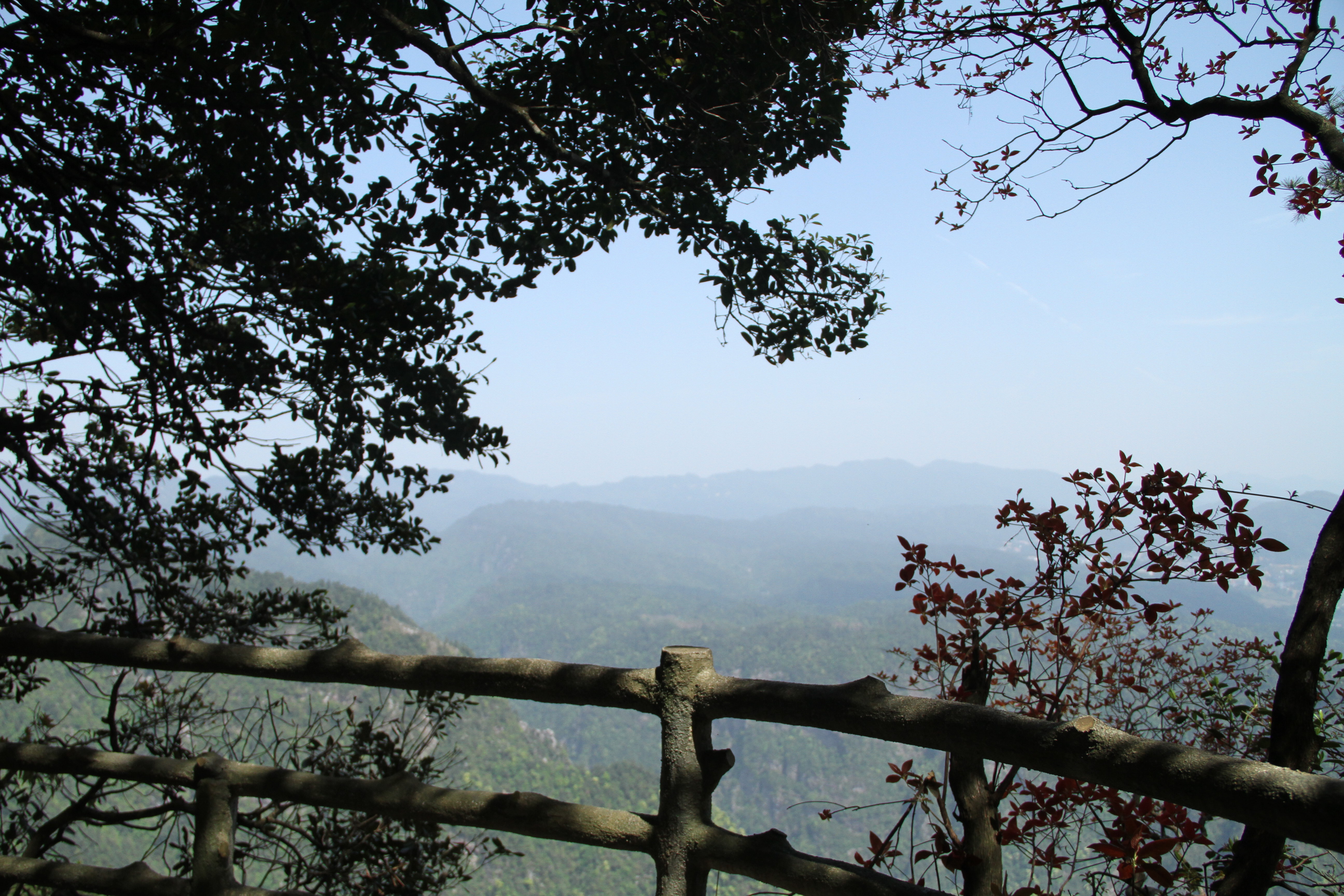 2019杜鵑山(筆架山)_旅遊攻略_門票_地址_遊記點評,井岡山旅遊景點