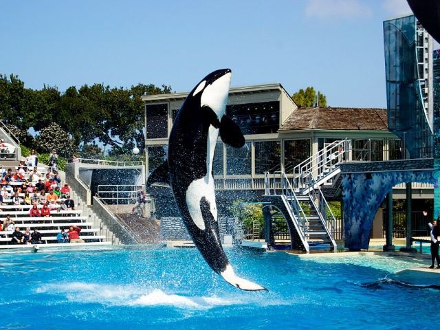 圣地亚哥海洋世界