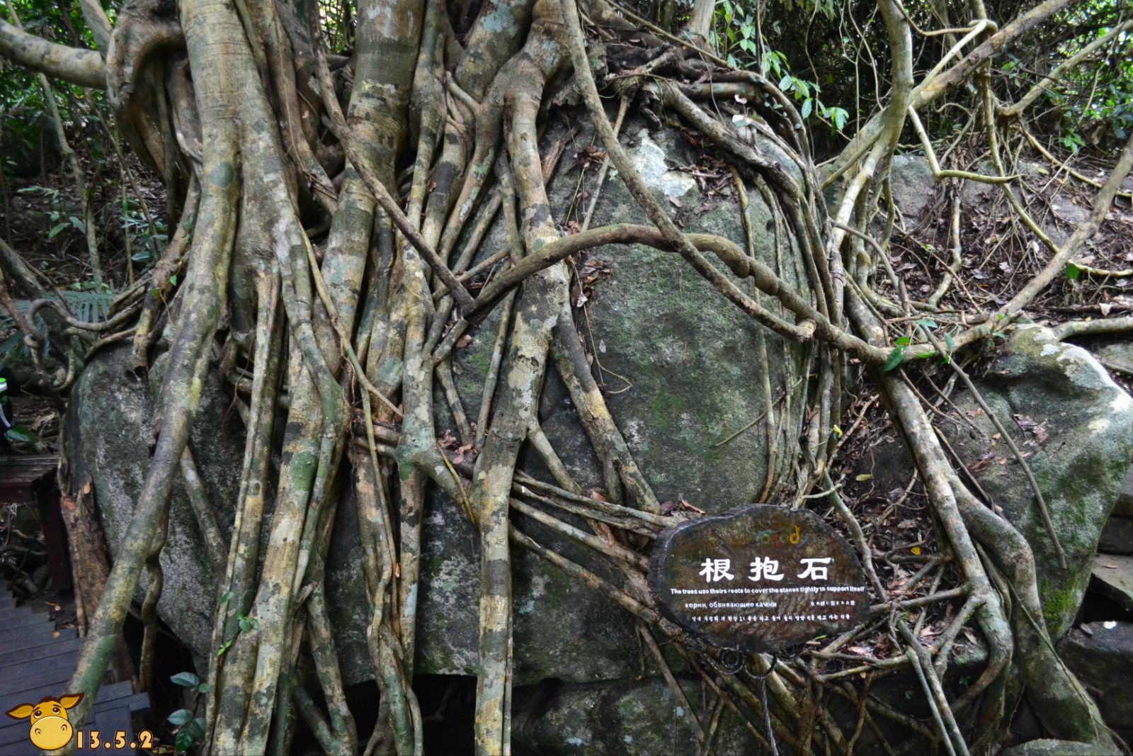 呀诺达雨林文化旅游区