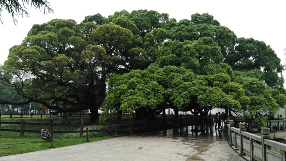 福州國家森林公園