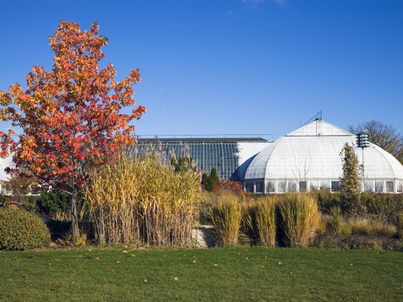 芝加哥加菲尔植物园攻略-加菲尔植物园门票价格多少钱-团购票价预定