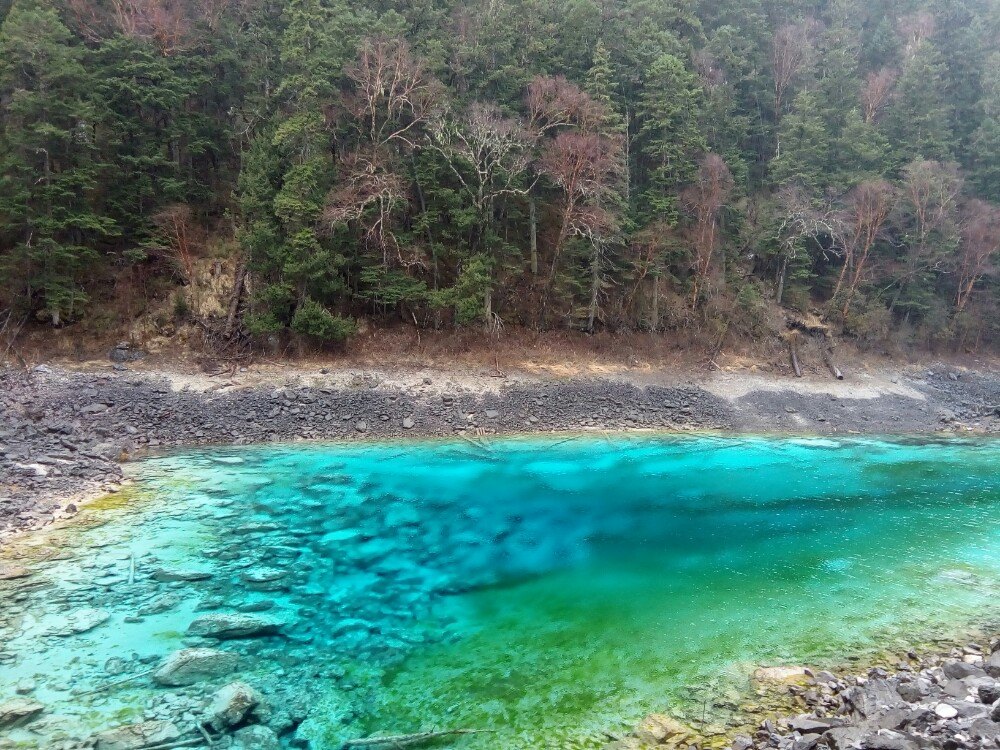 2019五彩池_旅遊攻略_門票_地址_遊記點評,九寨溝旅遊景點推薦 - 去