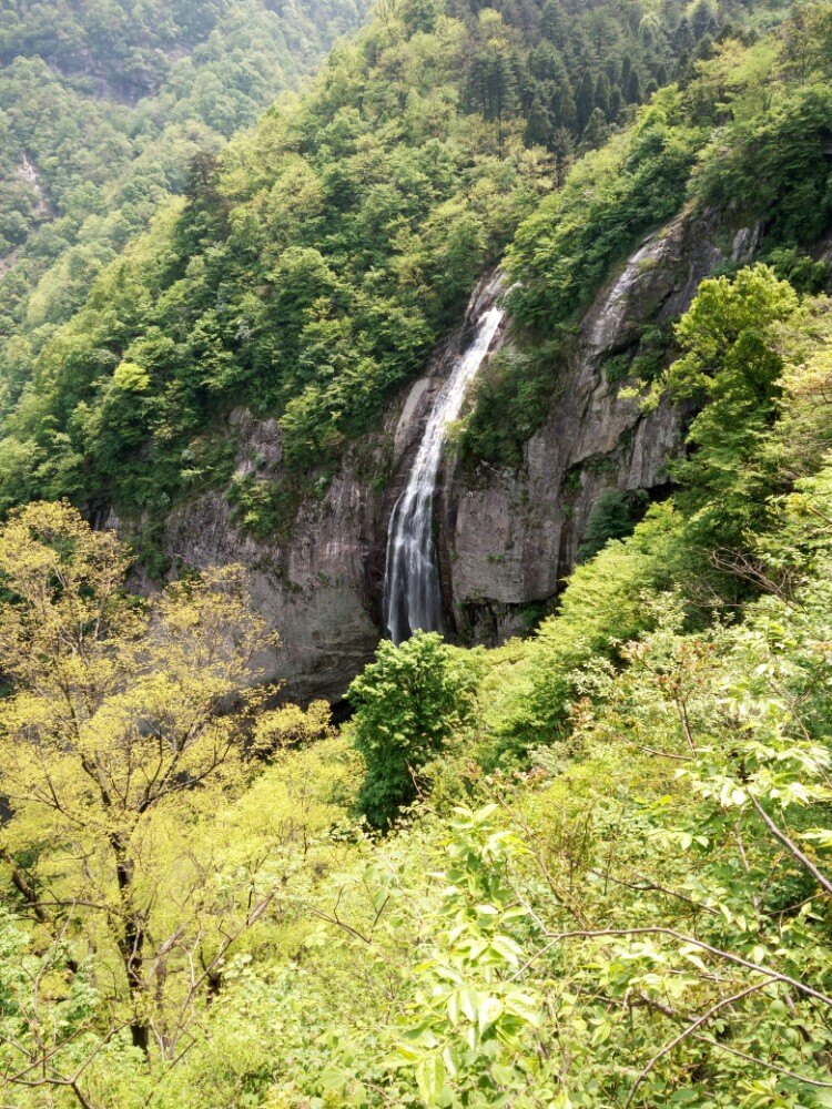 马鬃岭自然保护区