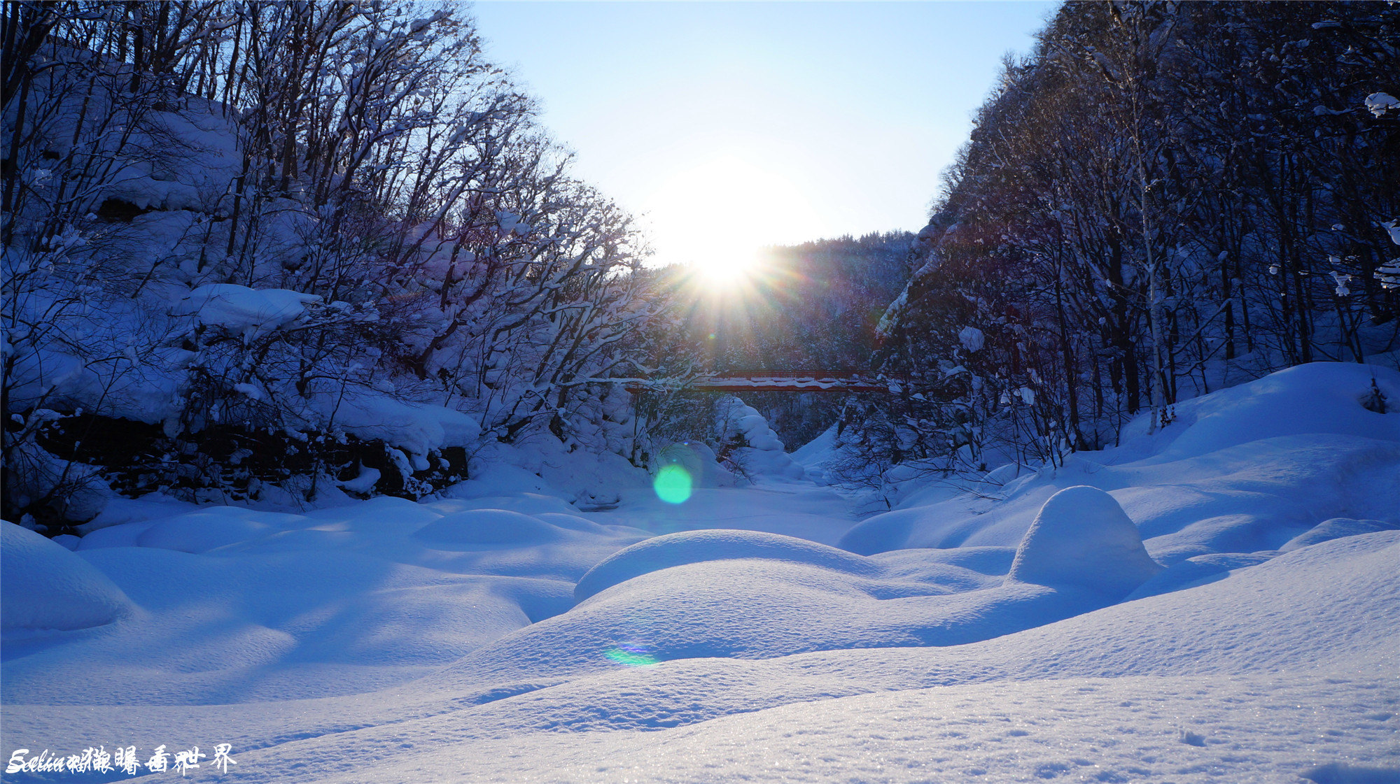 Selina猫眼看世界 北海道的雪 日本的情书 2138acom太阳集团 Selina猫眼看世界 北海道的雪 日本的情书 2138acom太阳集团
