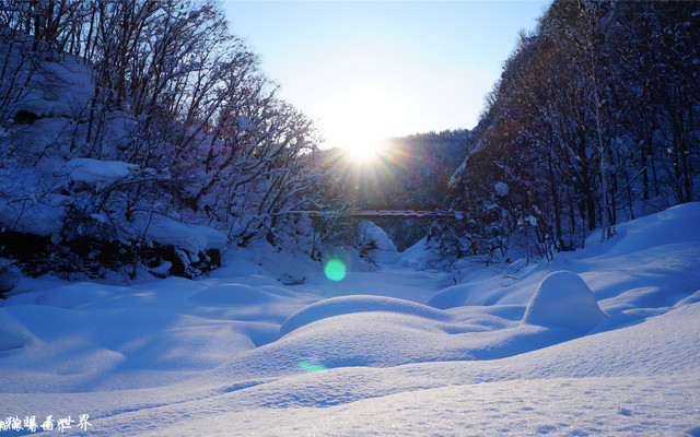 Selina猫眼看世界 北海道的雪 日本的情书 北海道游记攻略 携程攻略