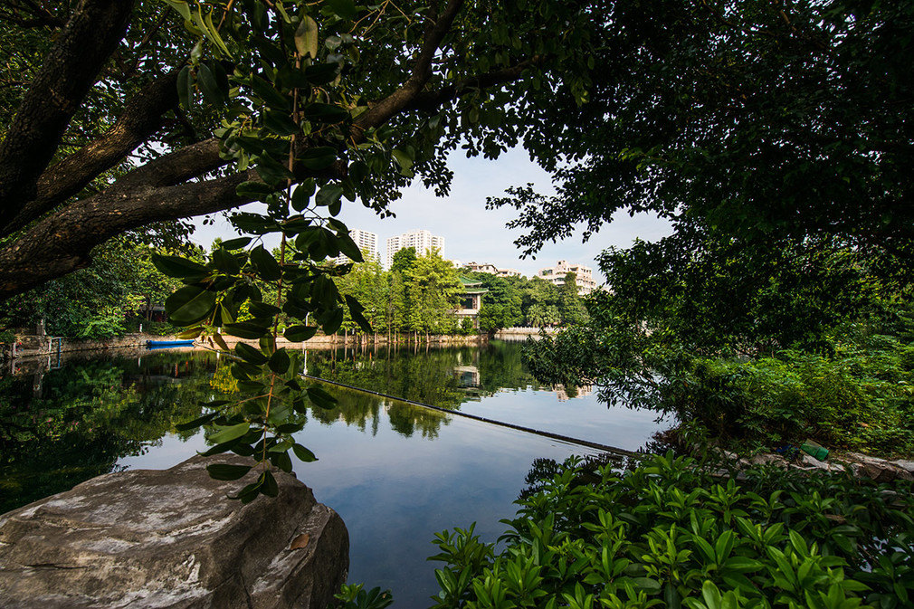 2020荔灣湖公園-旅遊攻略-門票-地址-問答-遊記點評,廣州旅遊旅遊景點