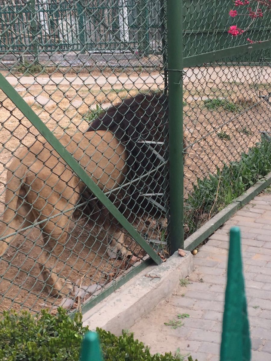 鄭州動物園