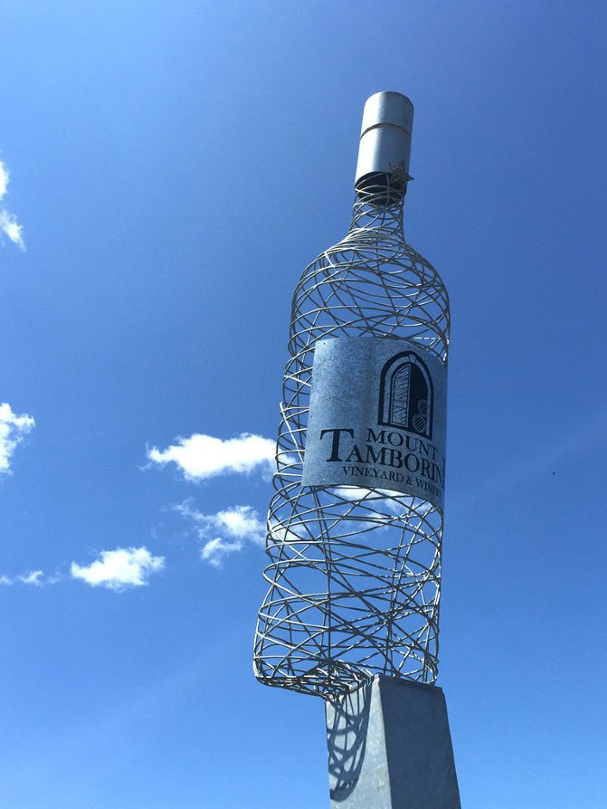 #澳大利亚#遇见Sealy,梦一回