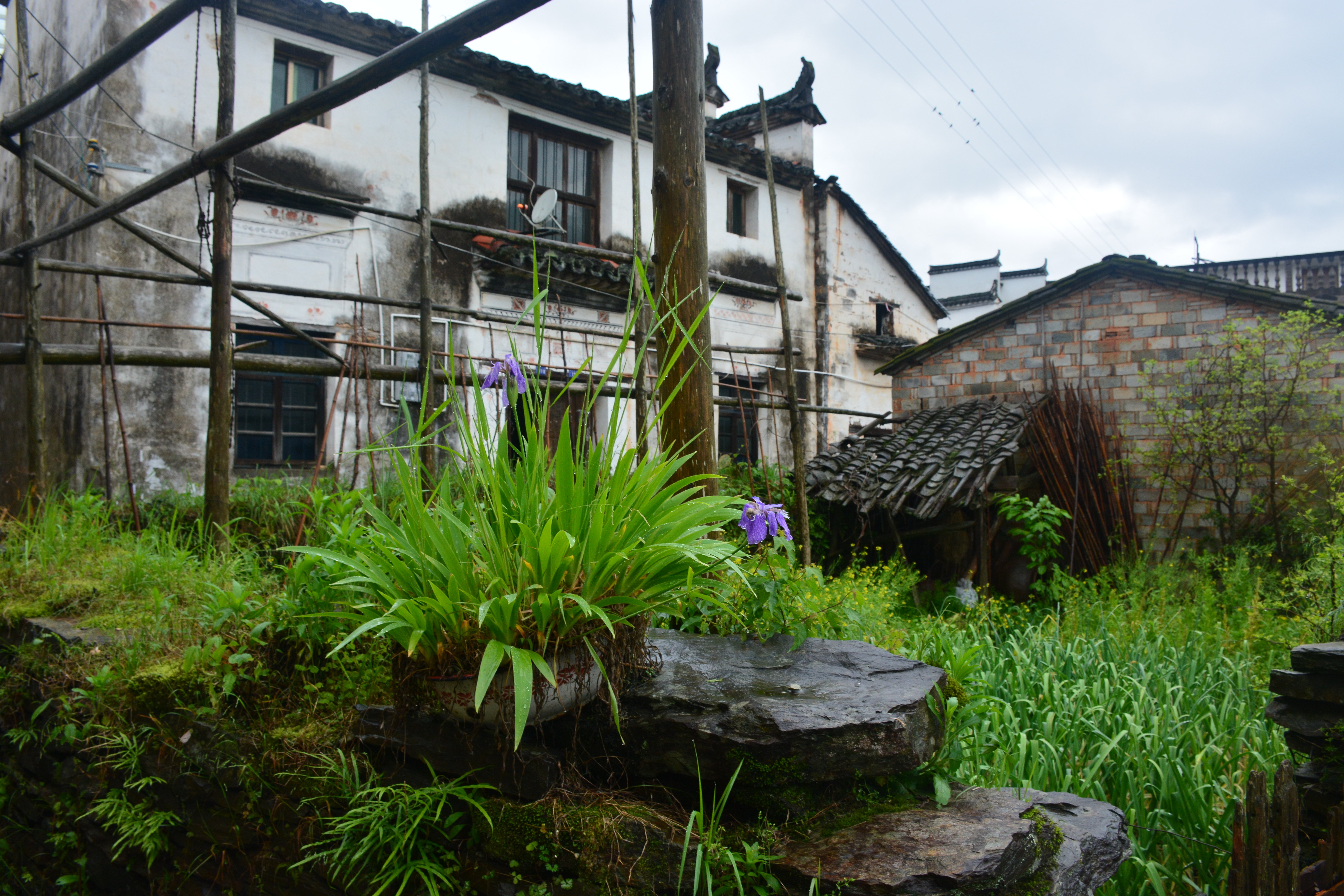 虹关村,这个村子是免费的,也是古村了.