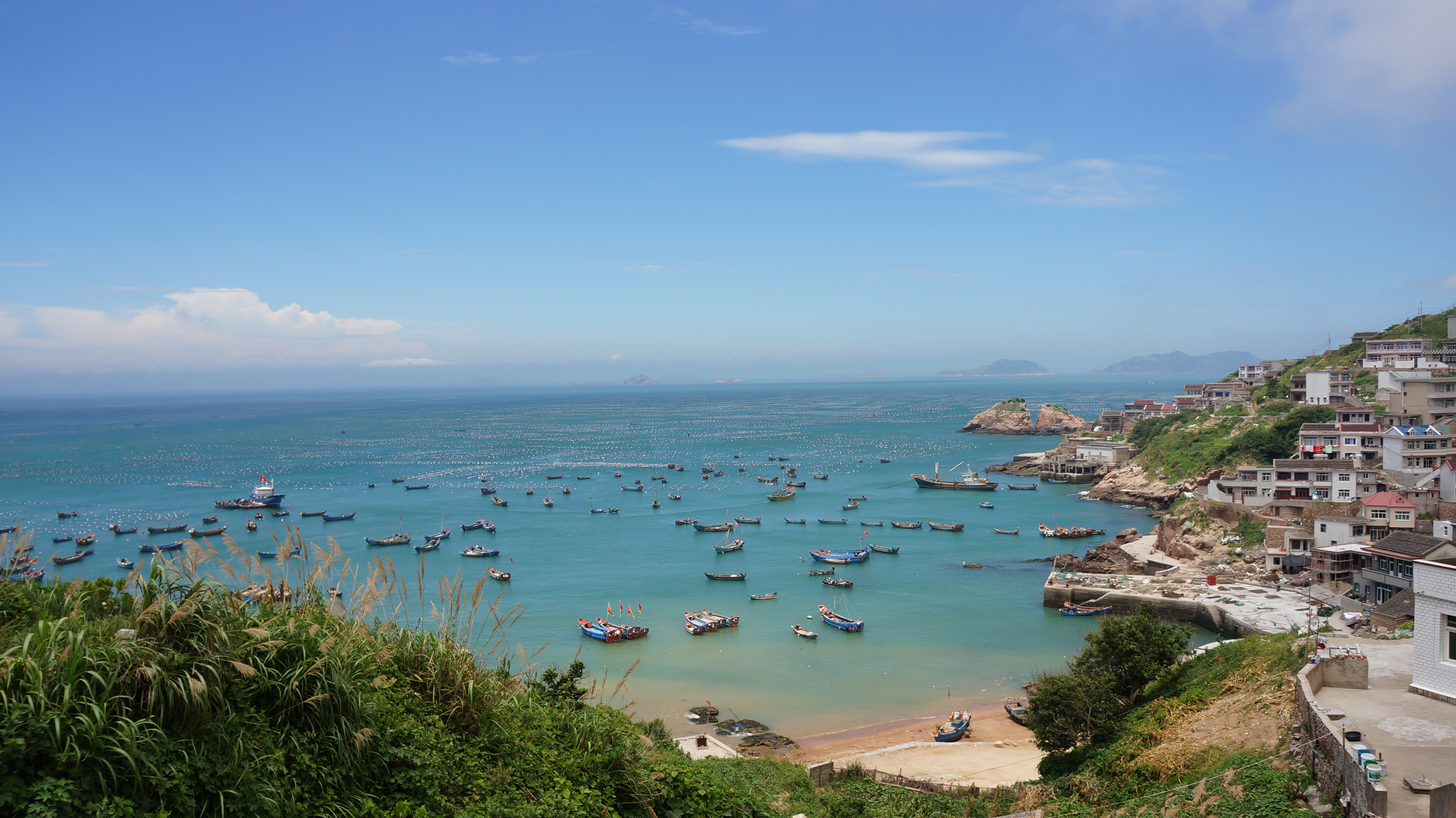 给你一个真正的蓝色枸杞 - 嵊泗游记攻略【携程攻略】