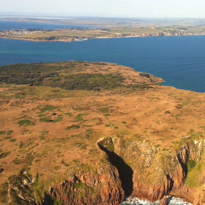 不要墨尔本的翡翠--我要去菲利普岛坐直升飞机