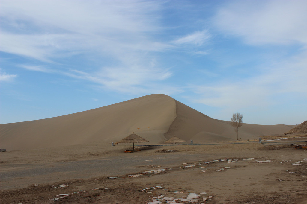 (原创)万里西风瀚海沙,2013年元旦西游行--开在尘沙里的花