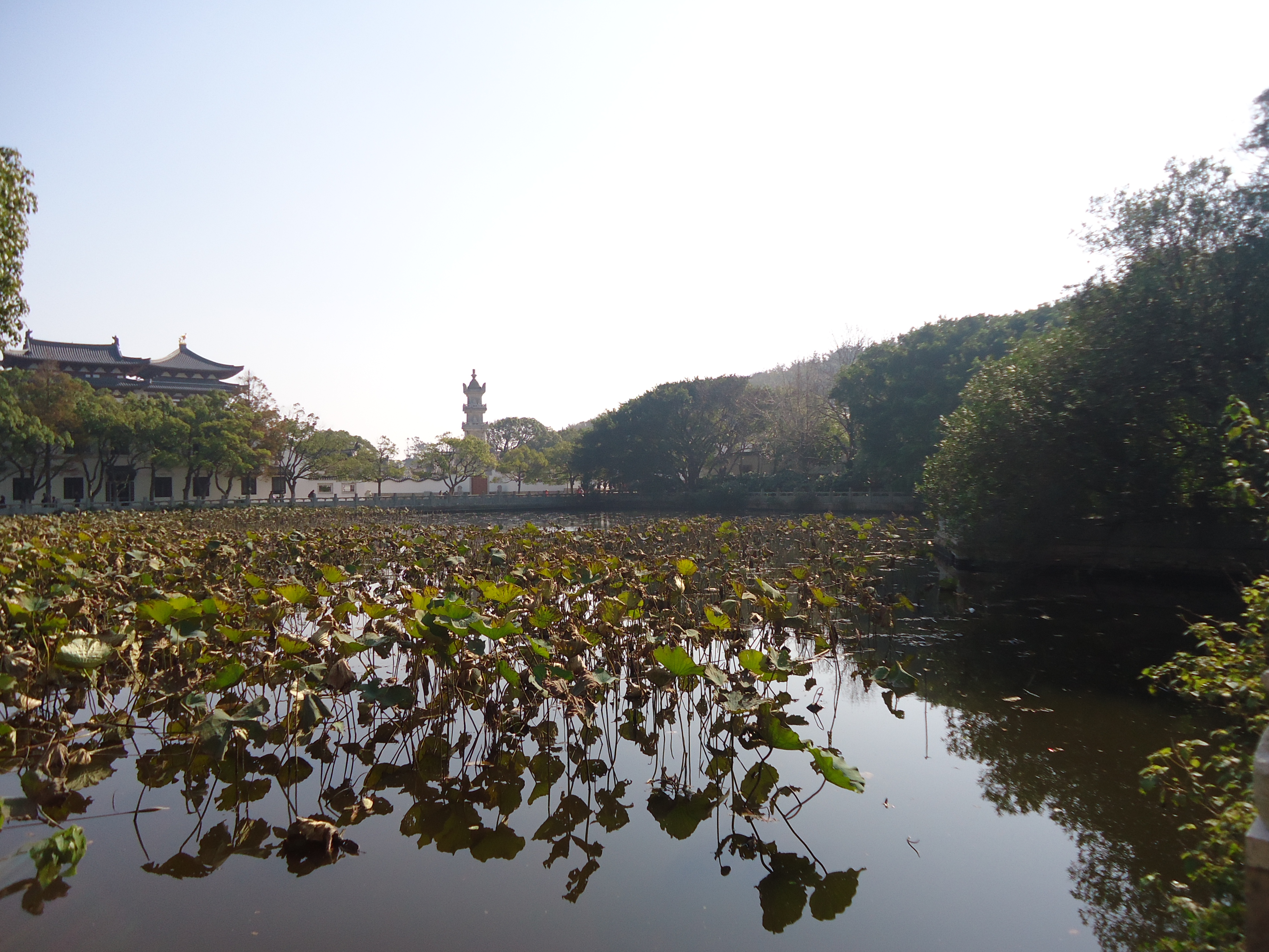 遠離都市喧囂,淨化心靈深處之冬季普陀山五日徒步深度休閒環島遊