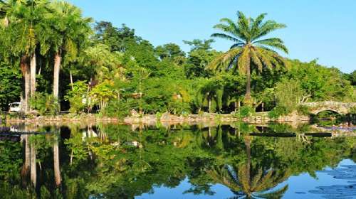 中科院西雙版納熱帶植物園門票,中科院西雙版納熱帶植物園門票價格