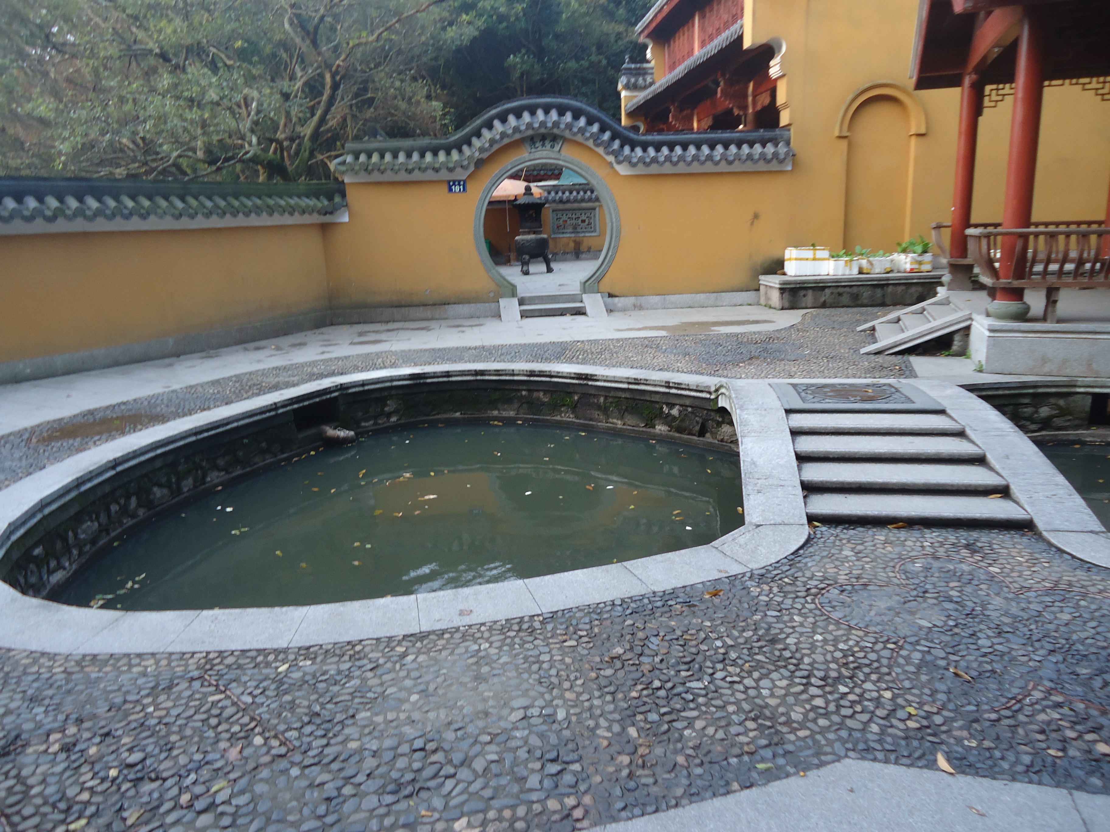 随手拍之普陀香云蓬