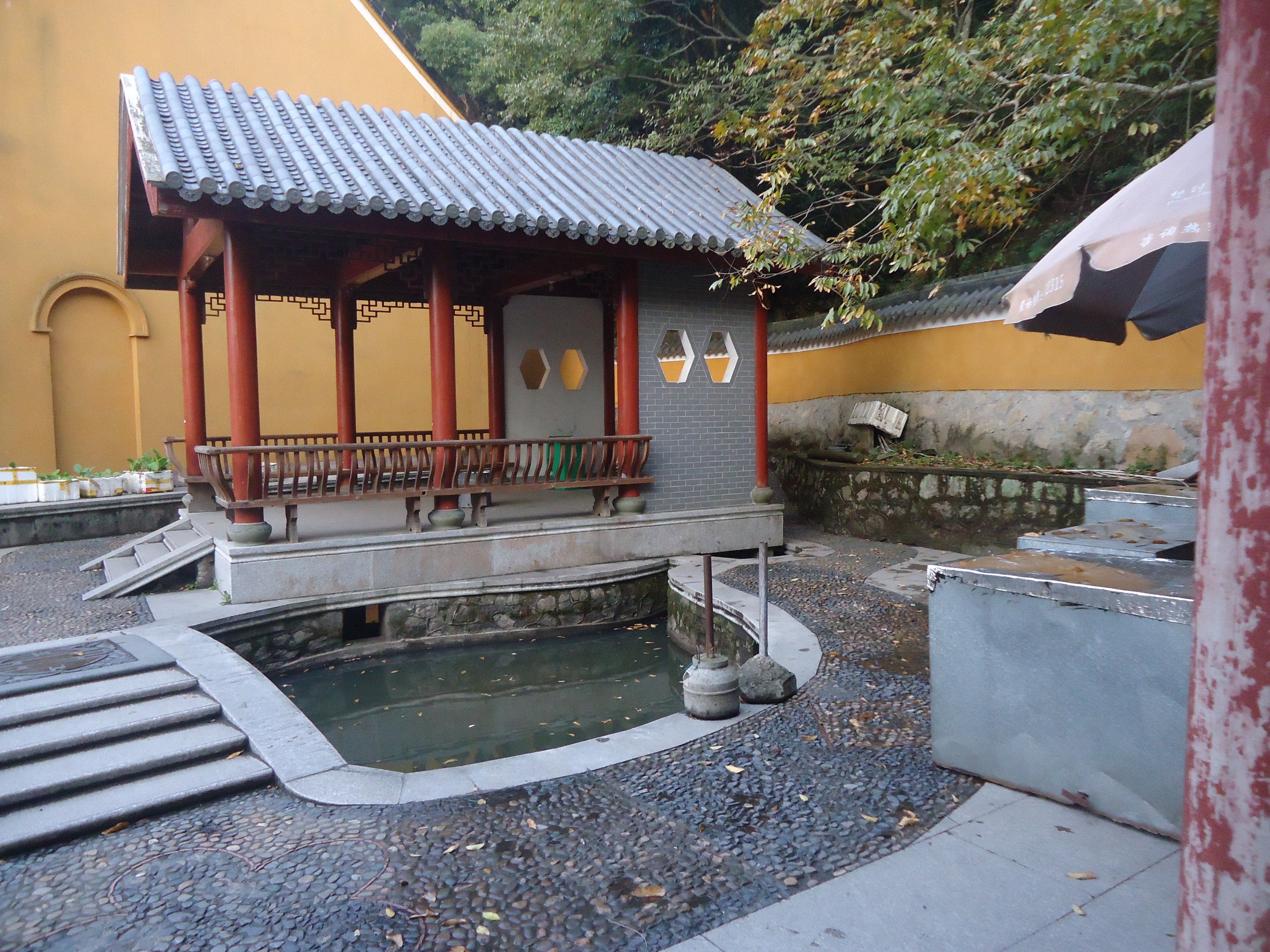 随手拍之普陀香云蓬