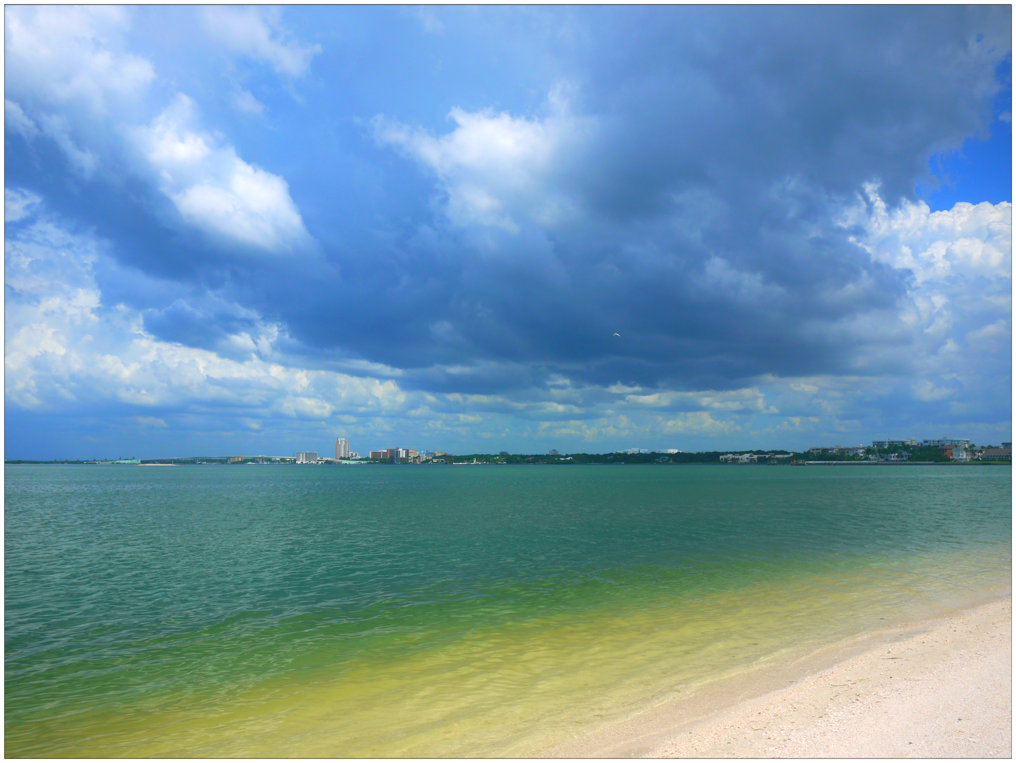 【加游站】告别夏日,美东最美白沙滩-坦帕湾 清水湾 3日游