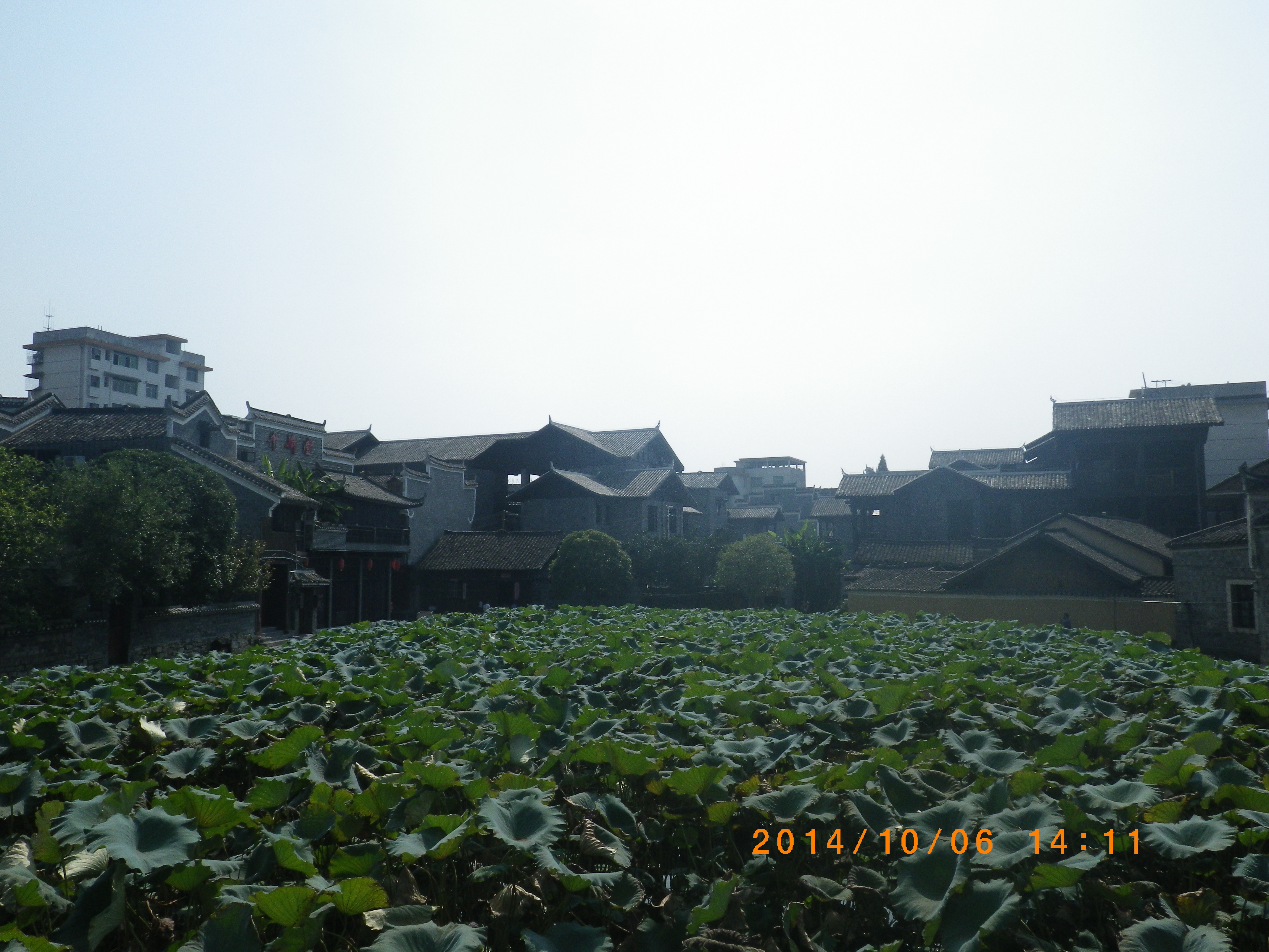 2014國慶帶棠寶遊湘西州邊城茶峒,洪安,裡耶,吉首