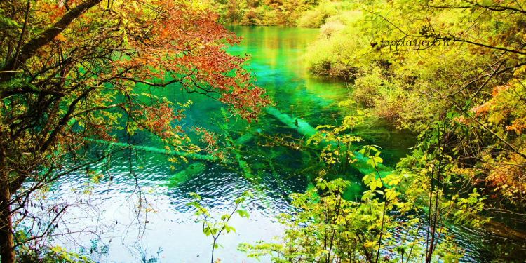 九寨沟三日游攻略