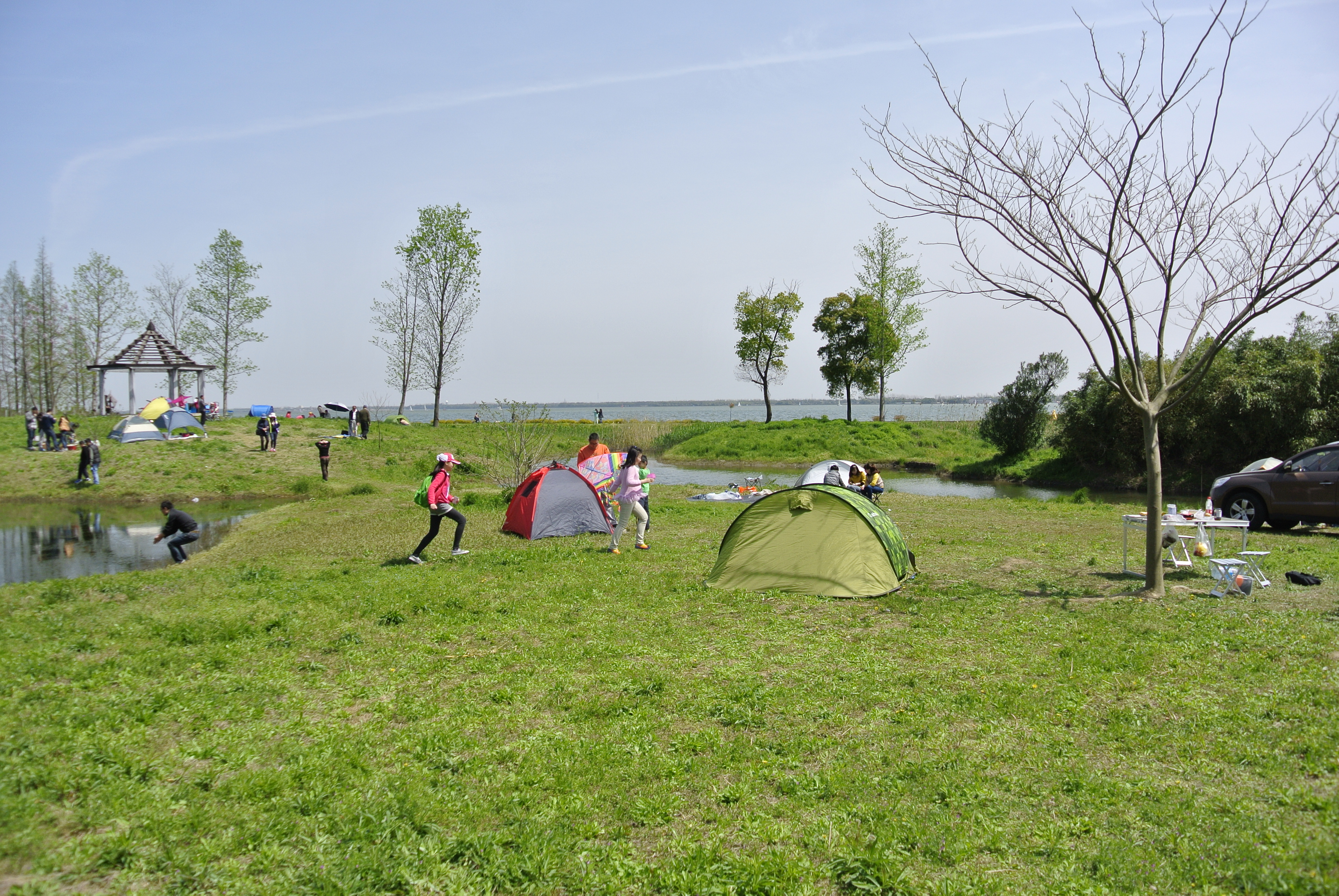 淀山湖湿地公园图片