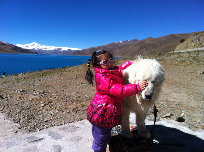 老老小小深秋西藏七日游(成都飞林芝进,拉萨飞