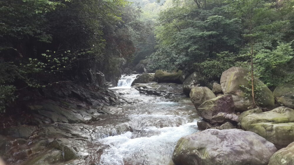 2020黃浦江源龍王山(長潭村)-旅遊攻略-門票-地址-問答-遊記點評,安吉