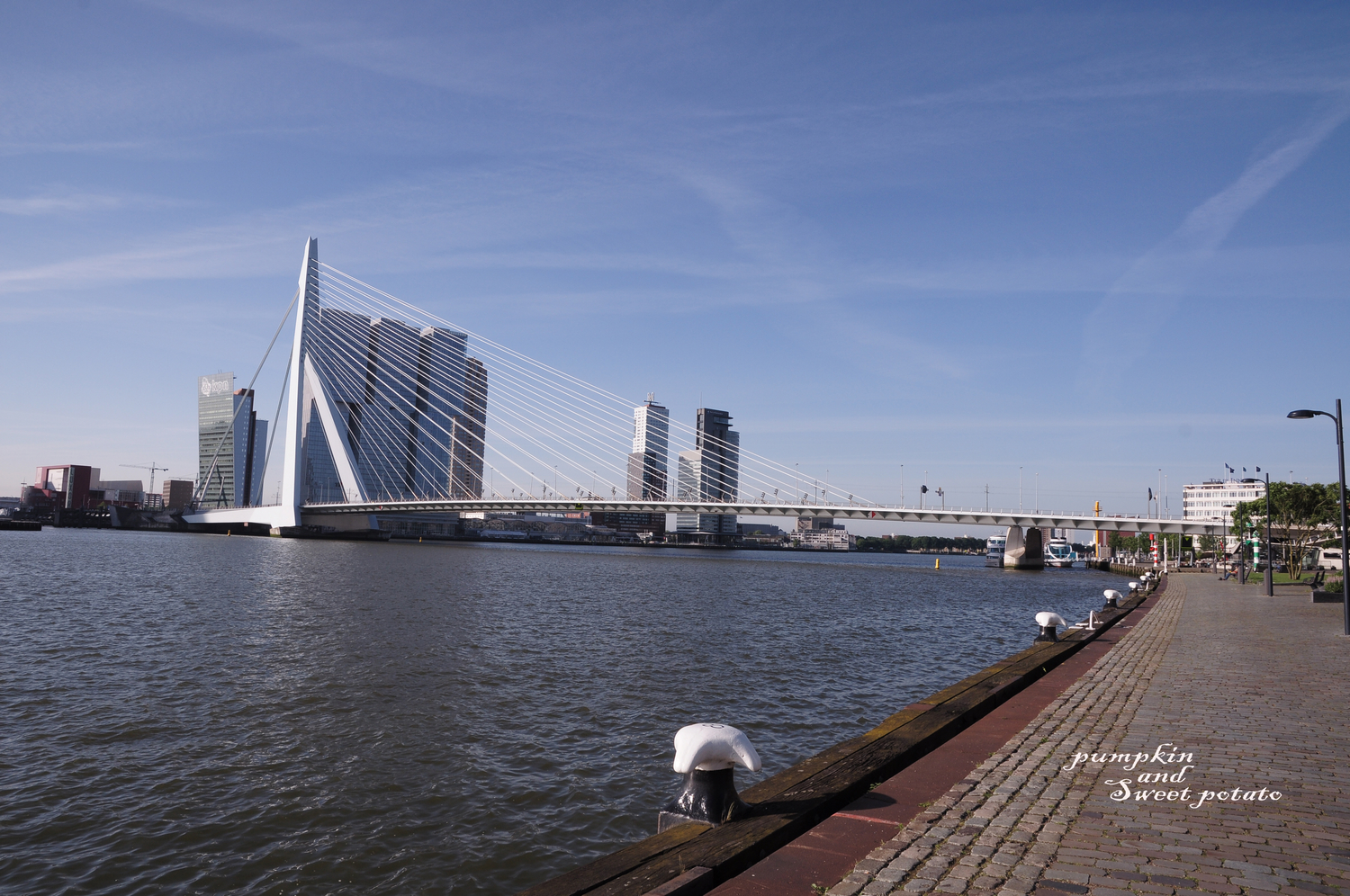 伊拉斯谟斯大桥