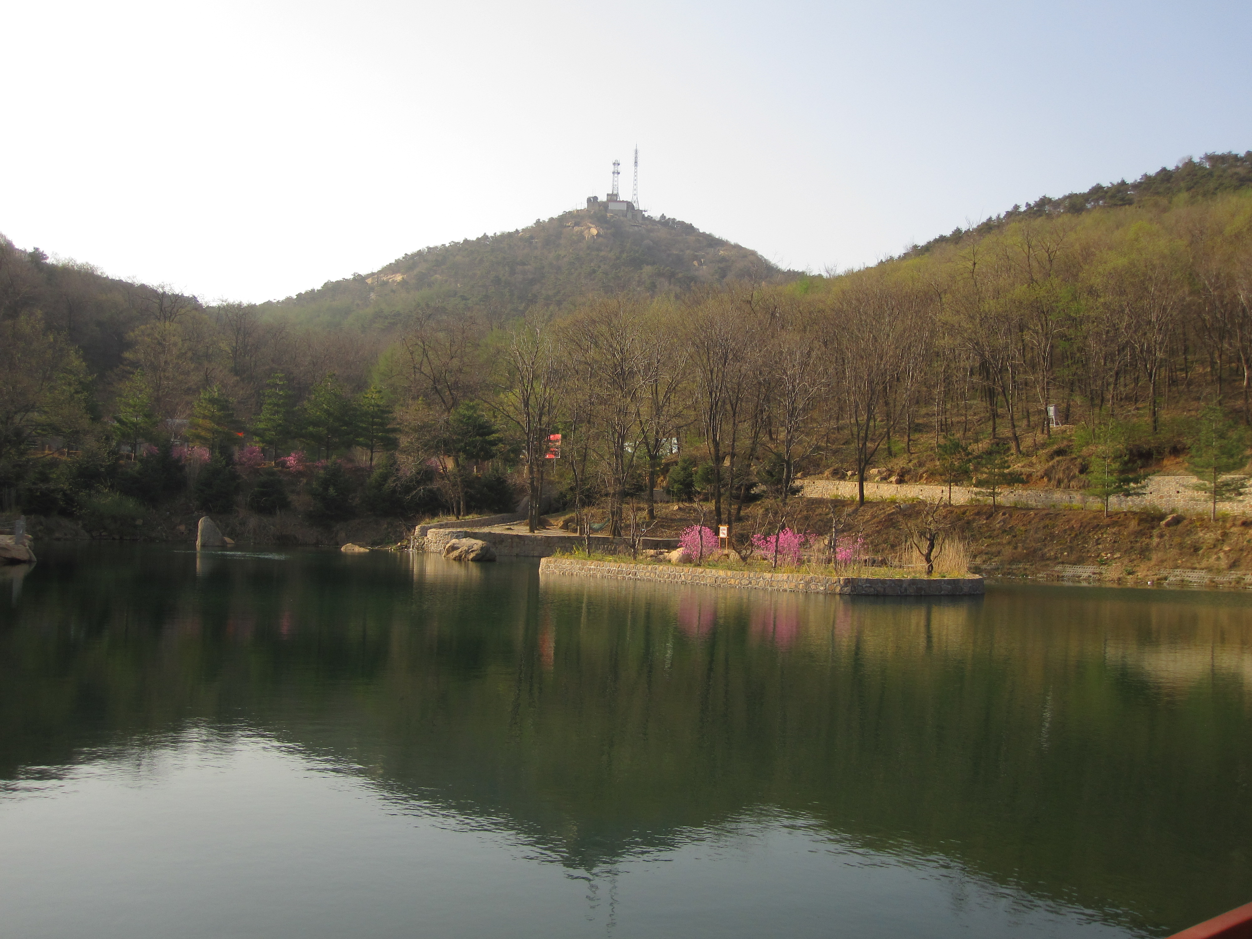 魯山森林公園