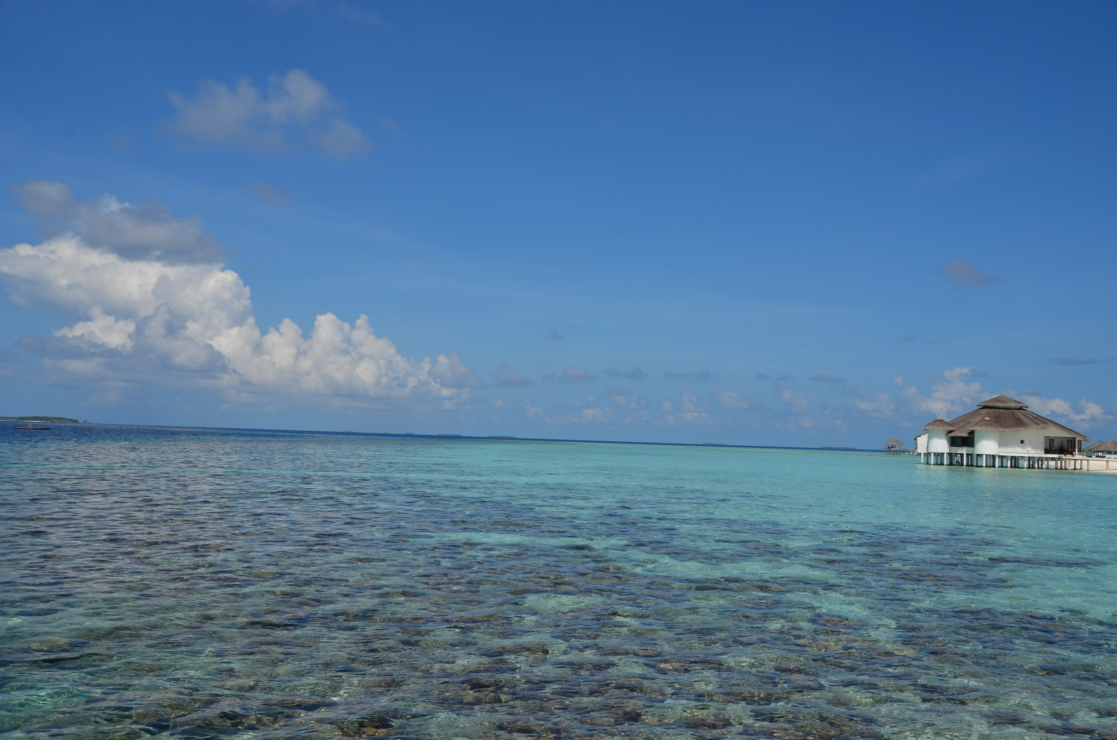 嫣嫣的马尔代夫之旅马累,吉哈德kihaad(图版)