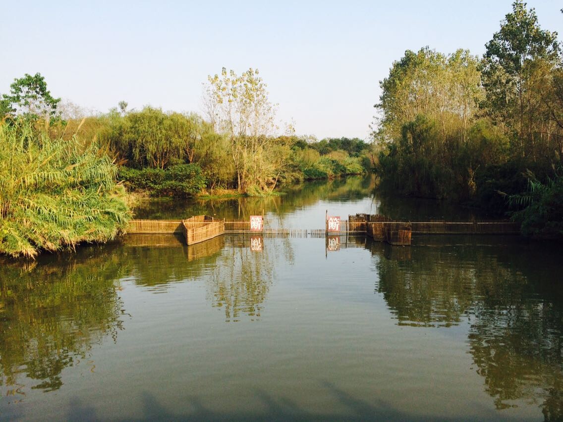 溱湖國家溼地公園