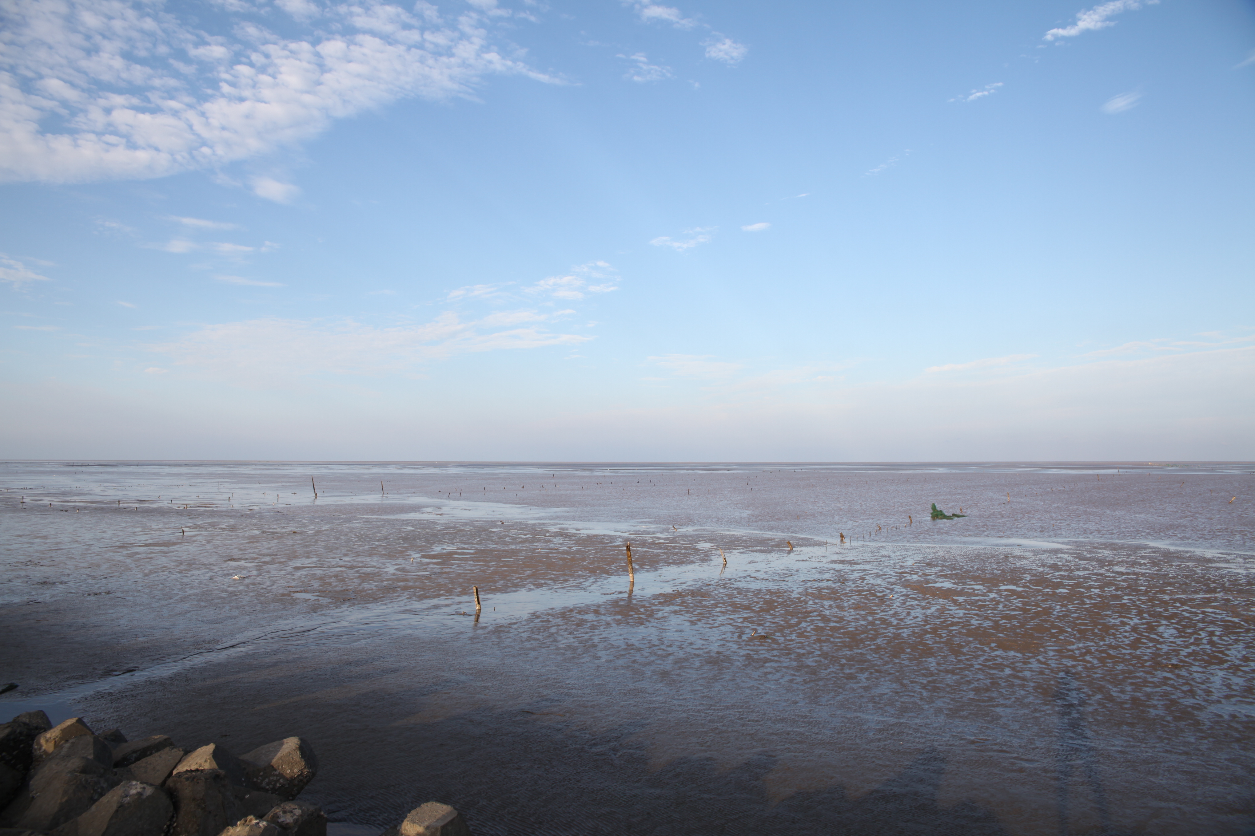 就是東海,等海水慢慢退潮了可以下去撿海鮮哦,這樣看著遠方風景也不錯