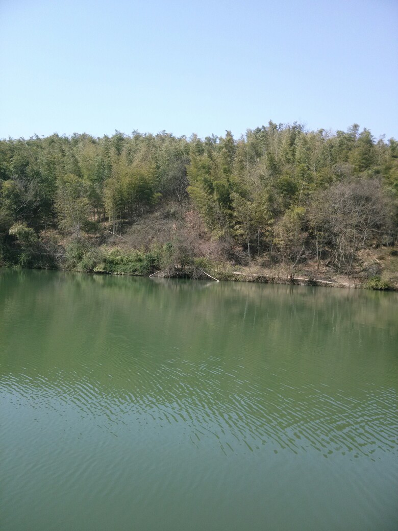 天然氧吧_马鞍山濮塘风景区