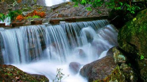 西瀑大森林图片