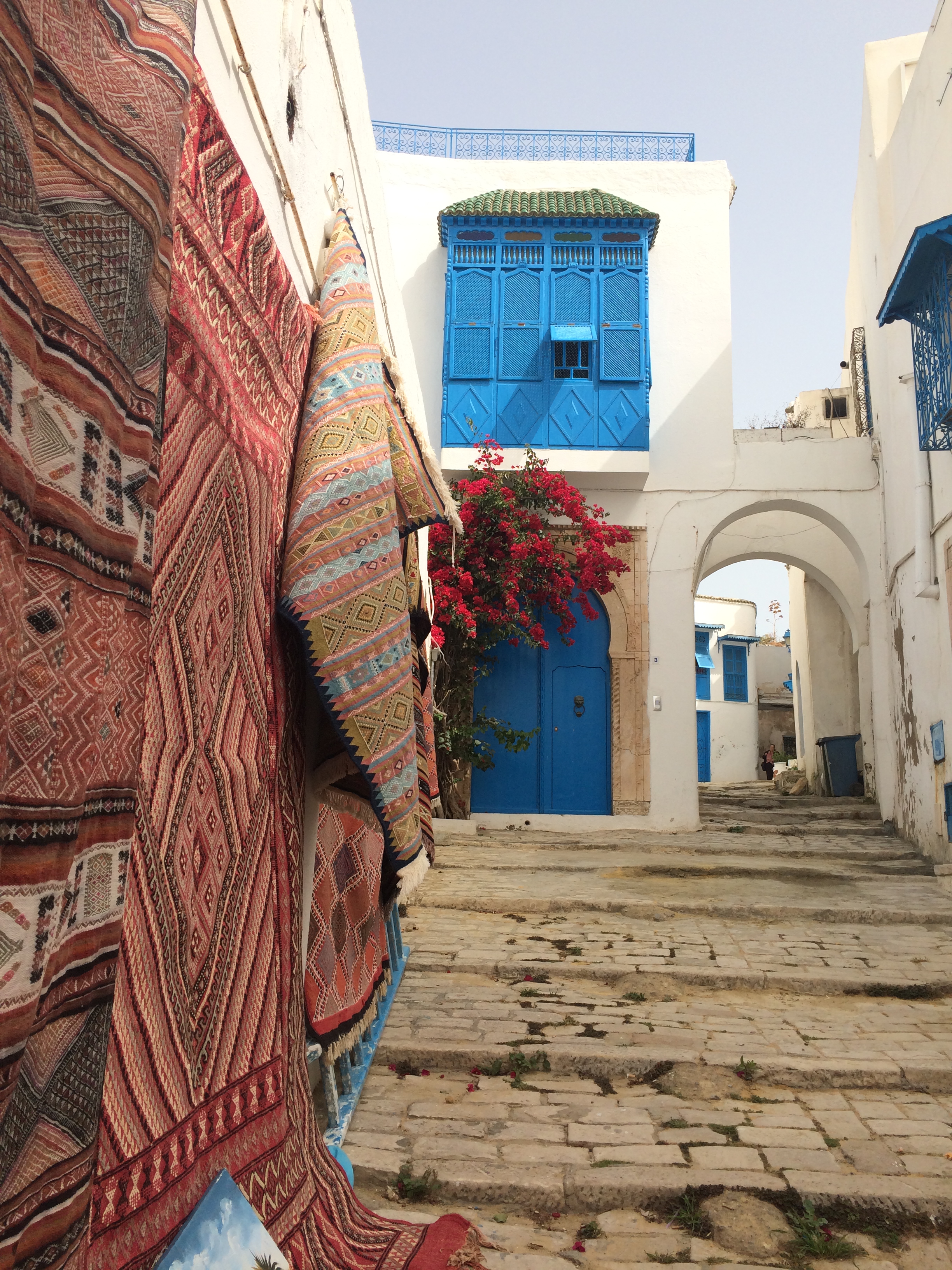 蓝白小镇,突尼斯市蓝白小镇攻略/地址/图片/门票【携程攻略】