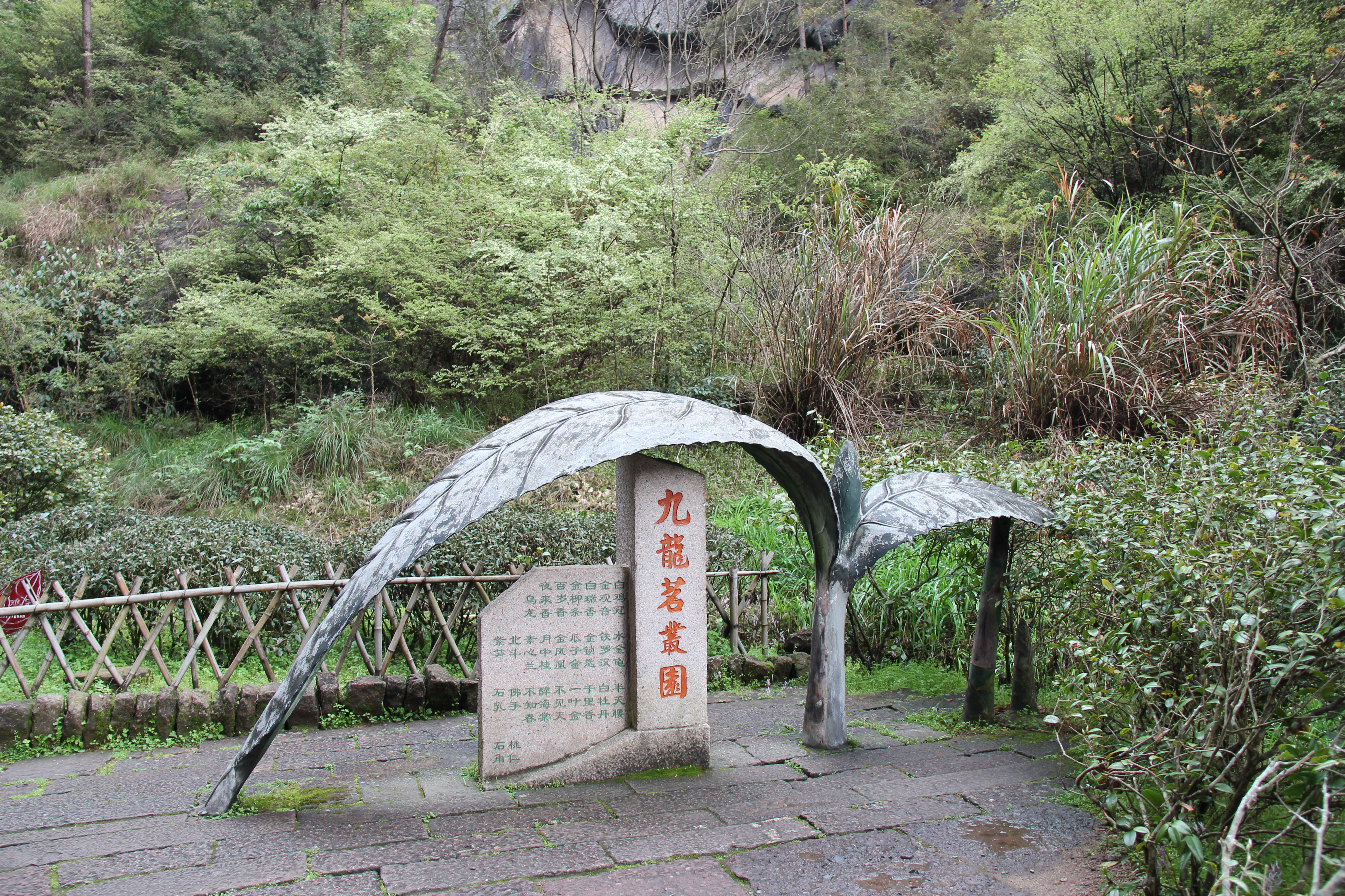 黄家大红袍门口图片