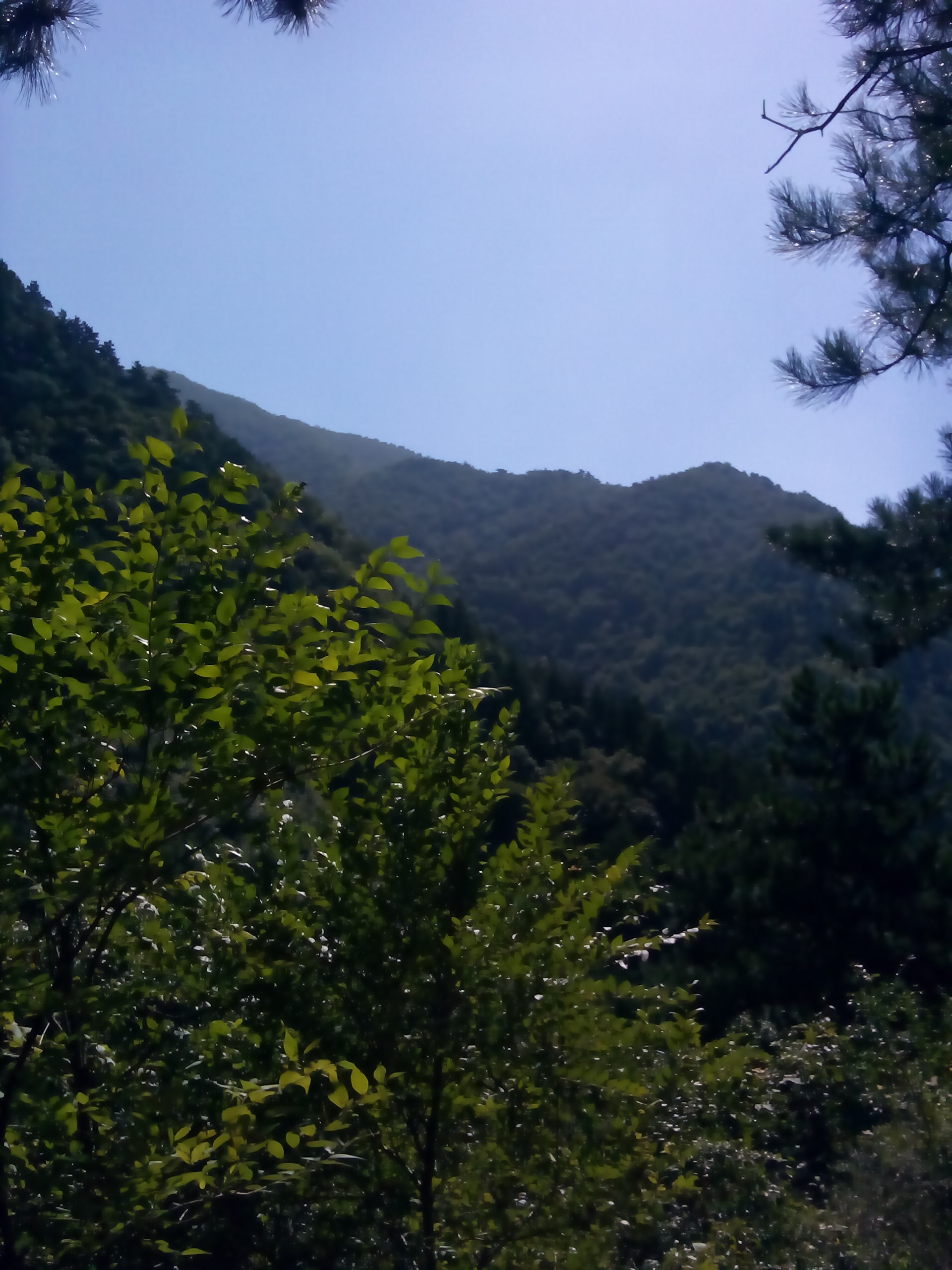 山中人兮芳杜若,飲石泉兮蔭松柏——北京松山之行